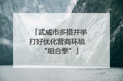 武威市多措并举打好优化营商环境“组合拳”