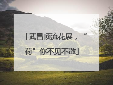 武昌顶流花展，“荷”你不见不散