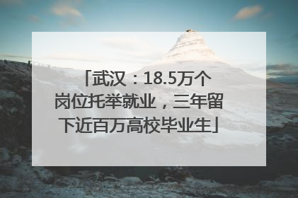 武汉：18.5万个岗位托举就业，三年留下近百万高校毕业生