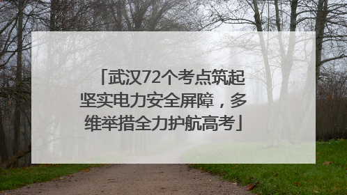 武汉72个考点筑起坚实电力安全屏障，多维举措全力护航高考