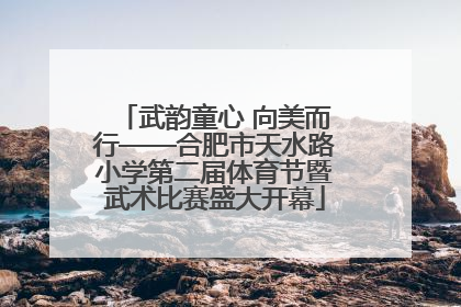 武韵童心 向美而行——合肥市天水路小学第二届体育节暨武术比赛盛大开幕