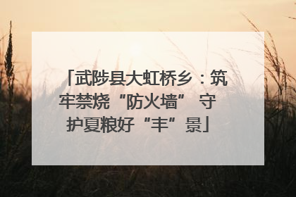 武陟县大虹桥乡：筑牢禁烧“防火墙” 守护夏粮好“丰”景