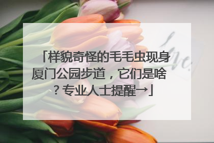 样貌奇怪的毛毛虫现身厦门公园步道，它们是啥？专业人士提醒→
