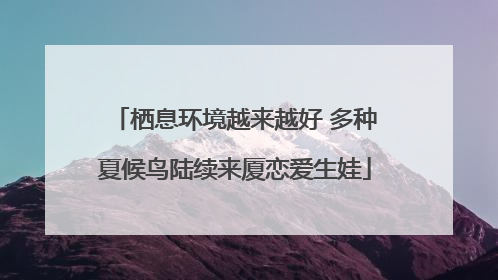 栖息环境越来越好 多种夏候鸟陆续来厦恋爱生娃