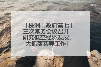 株洲市政府第七十三次常务会议召开 研究低空经济发展、大抓落实等工作