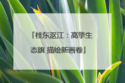 桂东沤江：高擎生态旗 描绘新画卷