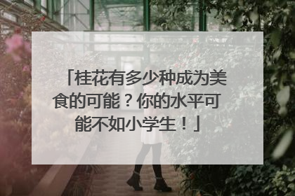桂花有多少种成为美食的可能？你的水平可能不如小学生！