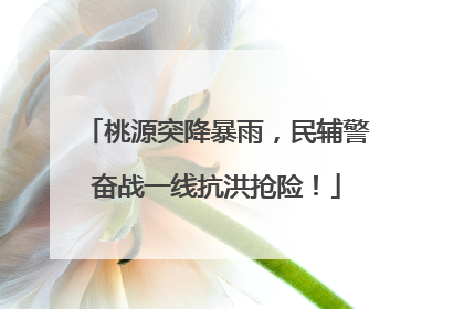 桃源突降暴雨，民辅警奋战一线抗洪抢险！