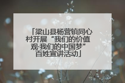 梁山县杨营镇同心村开展“我们的价值观·我们的中国梦”百姓宣讲活动