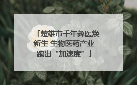 楚雄市千年彝医焕新生 生物医药产业跑出“加速度”