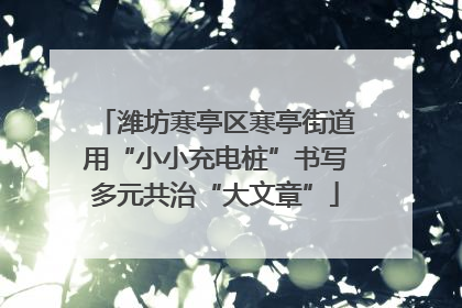 潍坊寒亭区寒亭街道用“小小充电桩”书写多元共治“大文章”