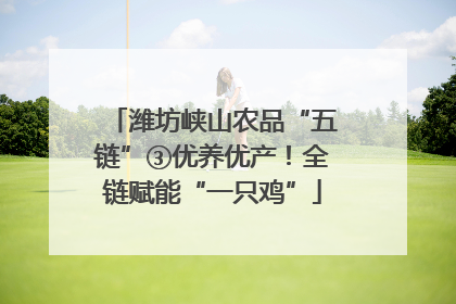 潍坊峡山农品“五链”③优养优产！全链赋能“一只鸡”