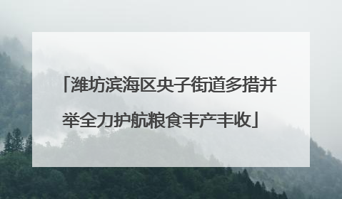 潍坊滨海区央子街道多措并举全力护航粮食丰产丰收