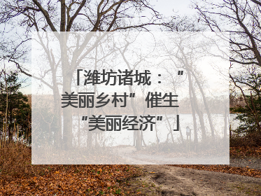 潍坊诸城：“美丽乡村”催生“美丽经济”