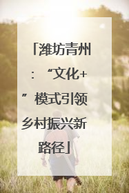 潍坊青州：“文化+”模式引领乡村振兴新路径