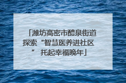 潍坊高密市醴泉街道探索“智慧医养进社区” 托起幸福晚年