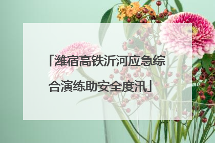潍宿高铁沂河应急综合演练助安全度汛