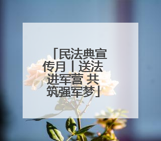 民法典宣传月丨送法进军营 共筑强军梦