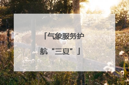 气象服务护航“三夏”