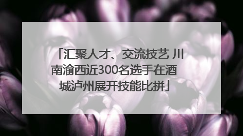 汇聚人才、交流技艺 川南渝西近300名选手在酒城泸州展开技能比拼