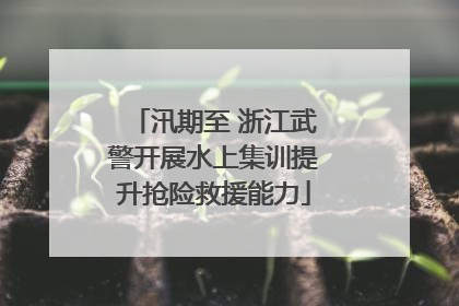 汛期至 浙江武警开展水上集训提升抢险救援能力