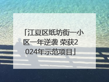 江夏区纸坊街一小区一年逆袭 荣获2024年示范项目