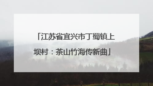 江苏省宜兴市丁蜀镇上坝村：茶山竹海传新曲