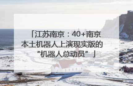 江苏南京：40+南京本土机器人上演现实版的“机器人总动员”