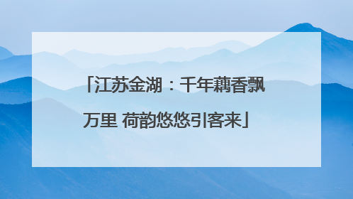 江苏金湖：千年藕香飘万里 荷韵悠悠引客来