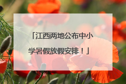 江西两地公布中小学暑假放假安排！