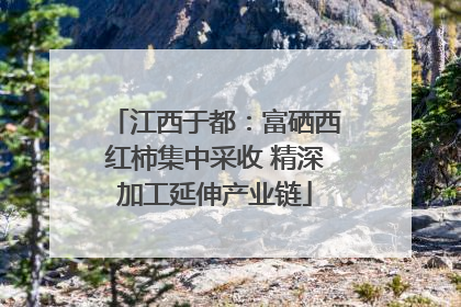 江西于都：富硒西红柿集中采收 精深加工延伸产业链