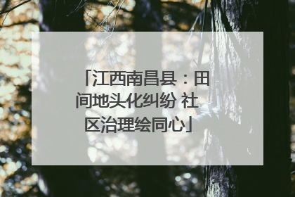 江西南昌县：田间地头化纠纷 社区治理绘同心