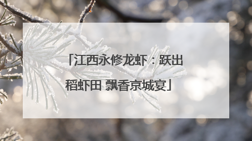 江西永修龙虾：跃出稻虾田 飘香京城宴
