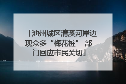 池州城区清溪河岸边现众多“梅花桩” 部门回应市民关切