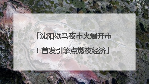 沈阳歇马夜市火爆开市！首发引擎点燃夜经济