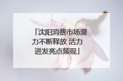 沈阳消费市场潜力不断释放 活力迸发亮点频现