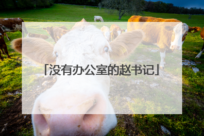 没有办公室的赵书记
