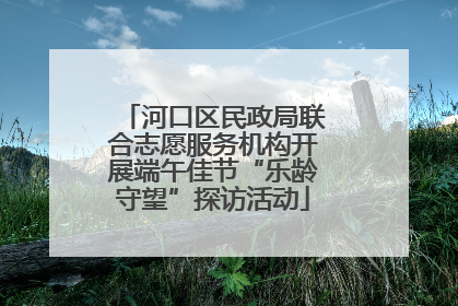 河口区民政局联合志愿服务机构开展端午佳节“乐龄守望”探访活动
