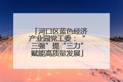 河口区蓝色经济产业园党工委：“三强”提“三力”赋能高质量发展