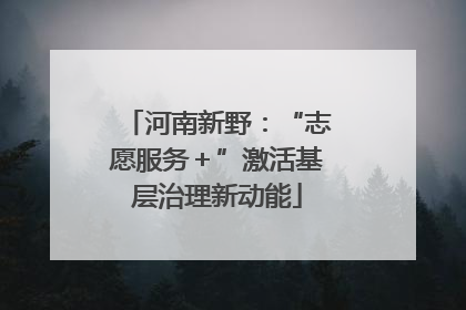 河南新野：“志愿服务＋”激活基层治理新动能