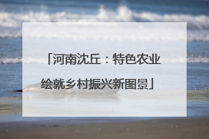 河南沈丘：特色农业绘就乡村振兴新图景