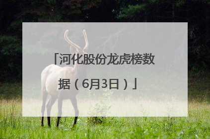 河化股份龙虎榜数据（6月3日）