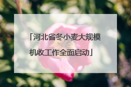河北省冬小麦大规模机收工作全面启动
