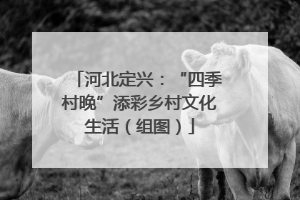 河北定兴：“四季村晚”添彩乡村文化生活（组图）