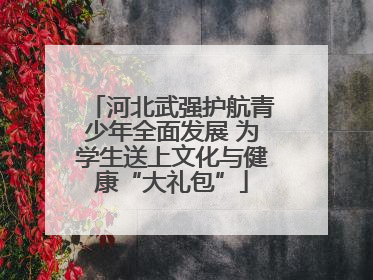 河北武强护航青少年全面发展 为学生送上文化与健康“大礼包”