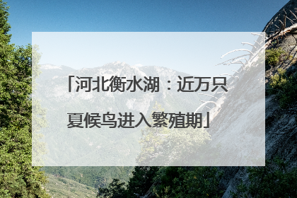 河北衡水湖：近万只夏候鸟进入繁殖期