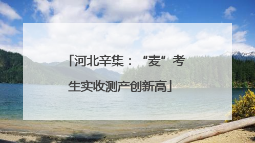 河北辛集：“麦”考生实收测产创新高