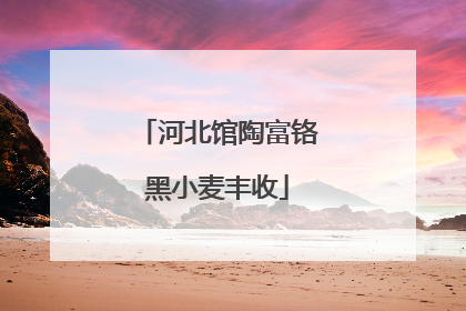 河北馆陶富铬黑小麦丰收