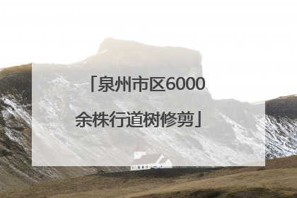 泉州市区6000余株行道树修剪