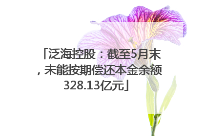 泛海控股：截至5月末，未能按期偿还本金余额328.13亿元